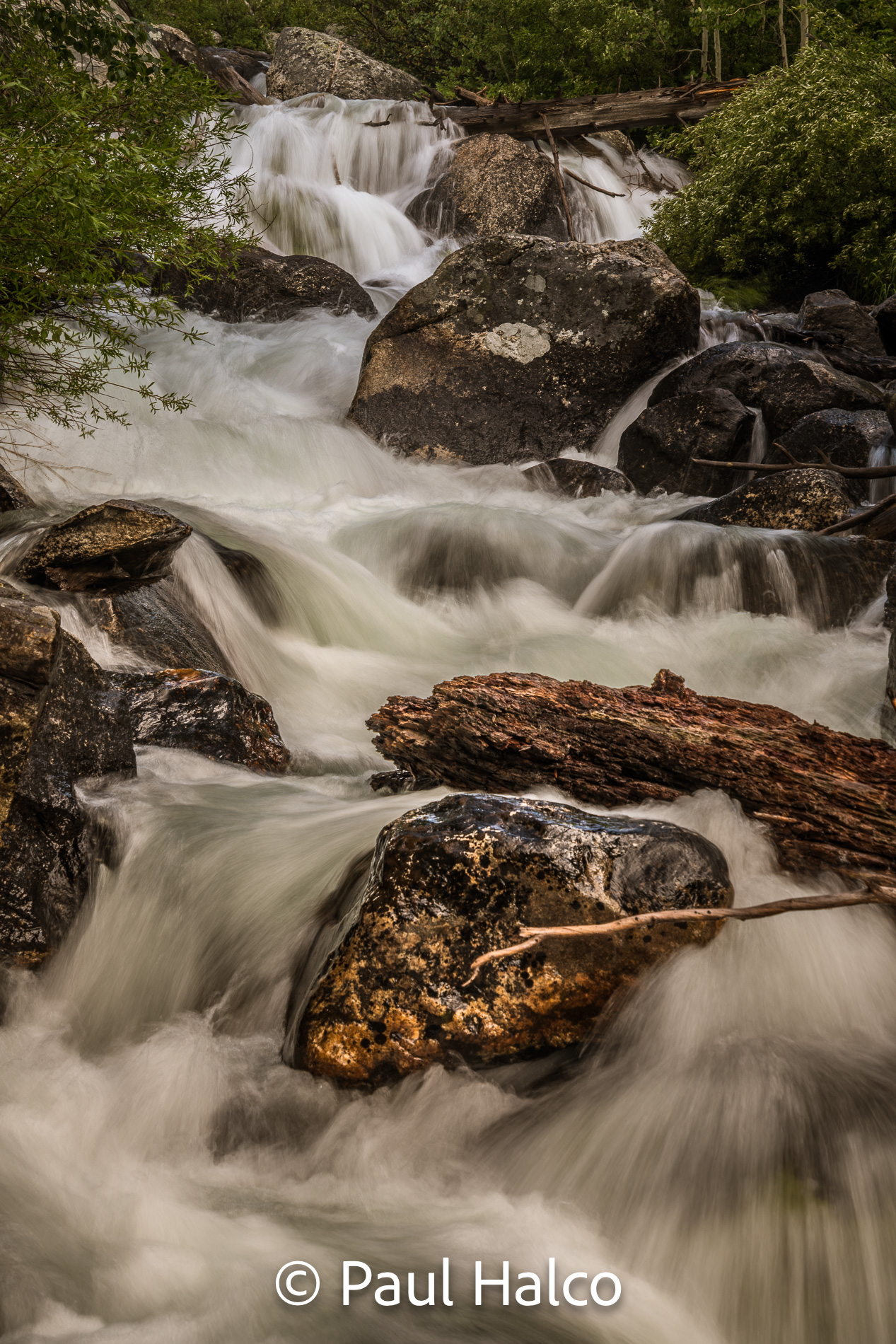 Paul Halco - Grand Tetons-6